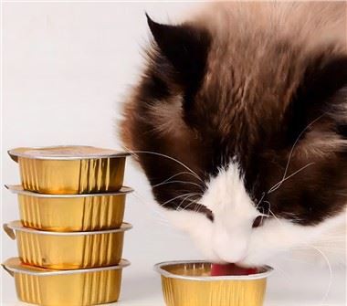 Bekas Aluminium Untuk Haiwan Kesayangan